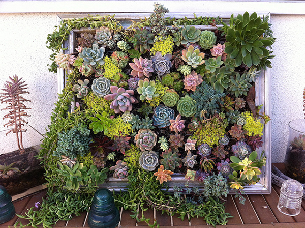 DIY Vertical Succulent Planter