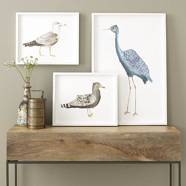 Framed bird wall art