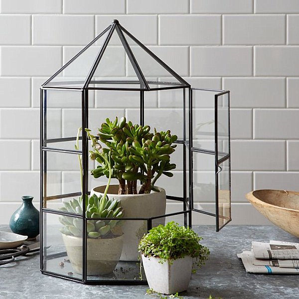 Geometric glass terrarium