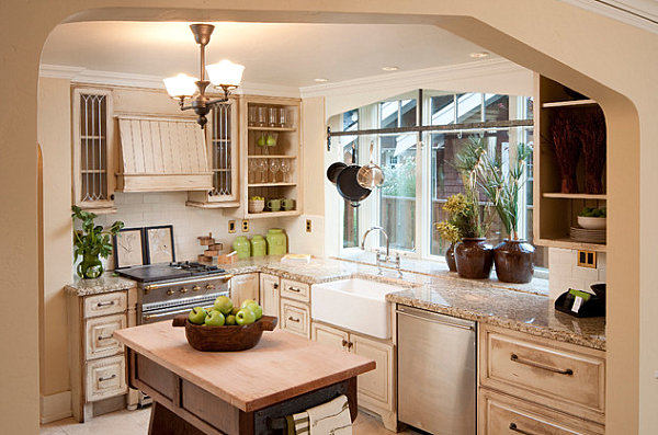 Large plants in a kitchen window