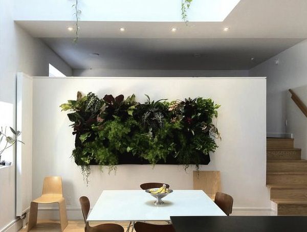 Lush green living wall in a stylish modern home