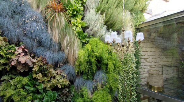 Vertical garden adds plenty of green to the apartment