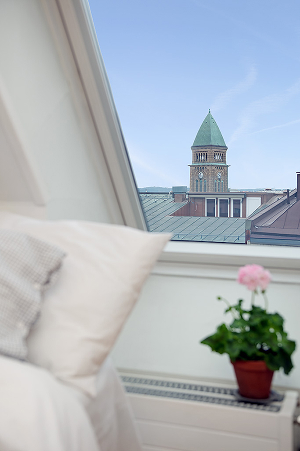 attic view