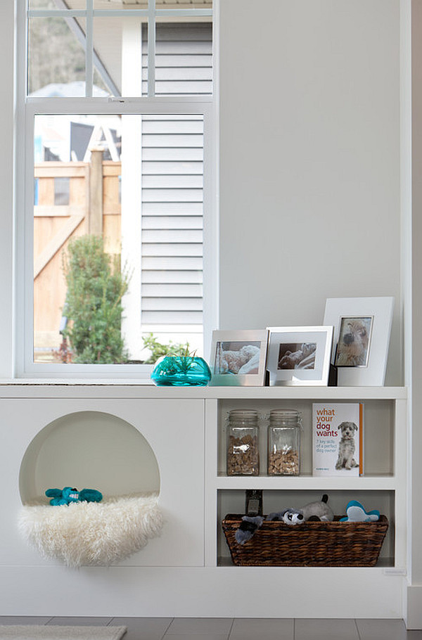 contemporary kitchen with pet place