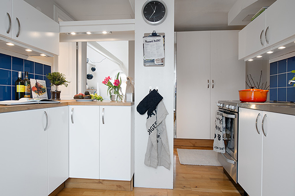 small kitchen in attic apartment