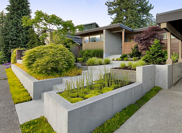 An abundance of textured plant life in a modern yard