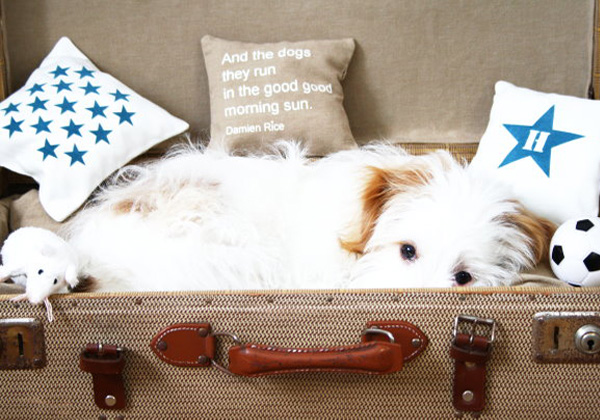Brown and white repurposed suitcase dog bed