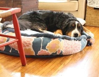 Cool DIY Dog Beds With a Fancy Twist