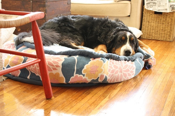 Circular fabric dog bed DIY