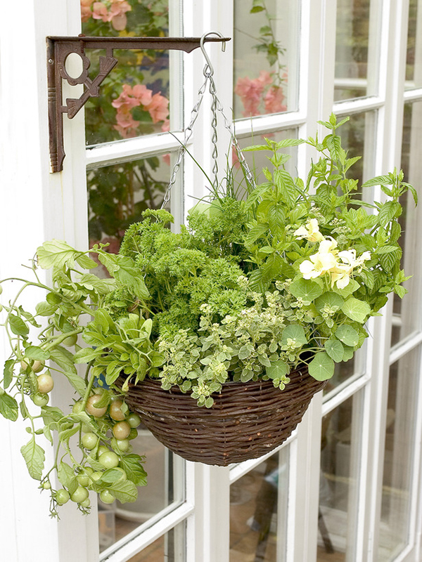 DIY Hanging Basket Vegetable Garden