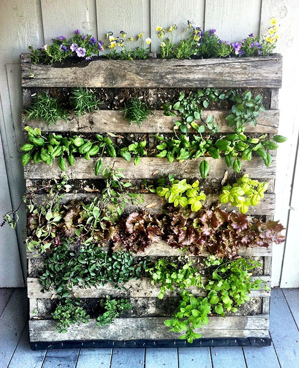 DIY Pallet Vegetable Garden