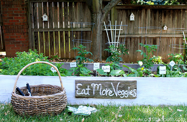 DIY Raised Bed Vegetable Garden