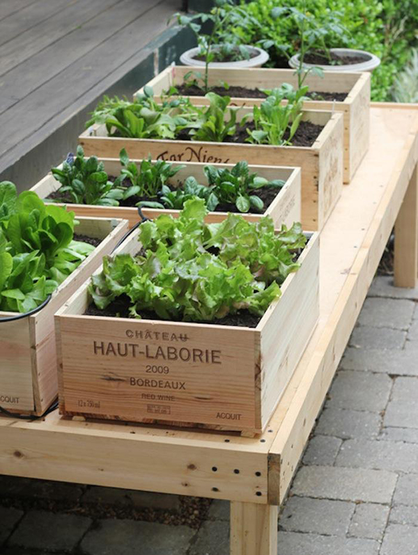 DIY Small Space Crate Vegetable Garden