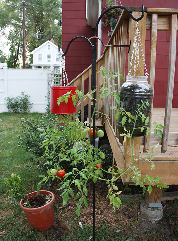 DIY Upside Down Vegetable Garden Planters