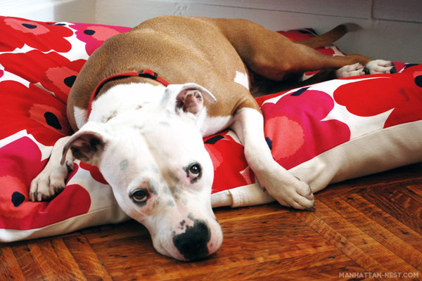 Floral floor pillow with envelope back DIY