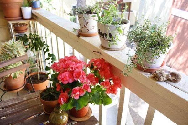 Flowers on a small balcony