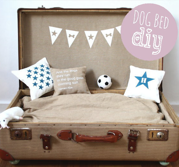 Suitcase 2024 dog bed