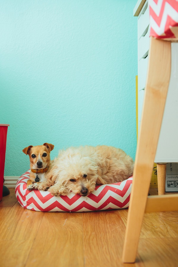 Red and white chevron dog bed DIY