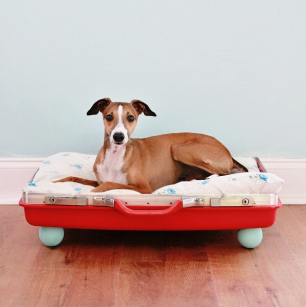 Red suitcase dog bed DIY
