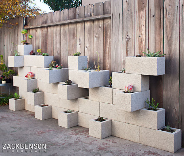 Succulent planter wall