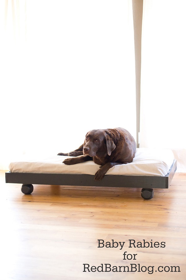 Wooden palette dog bed with wheels