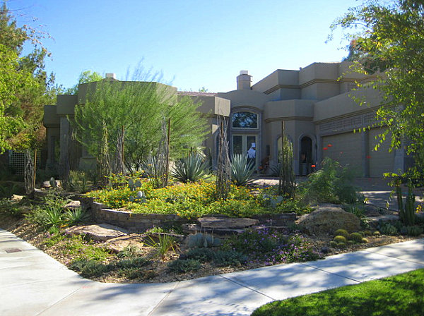 Plant-filled front yard