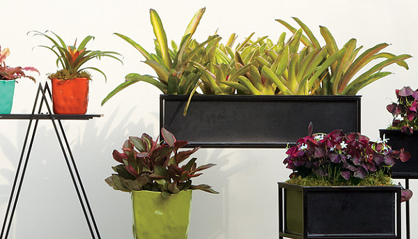 Planters from CB2