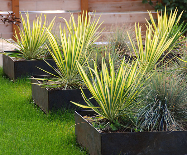 Sleek contemporary planters