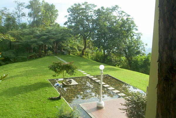 Stepping stones unify grass and pond