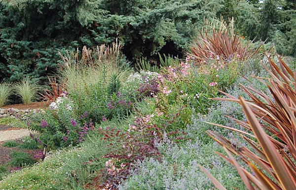 Beautifully arranged plants