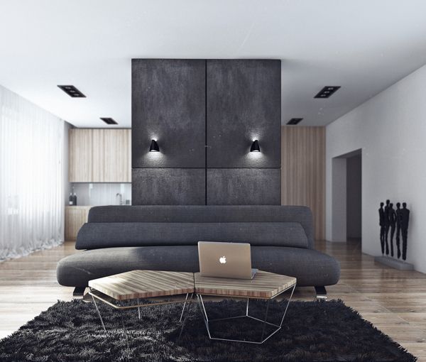 Minimalist bachelor pad exudes style