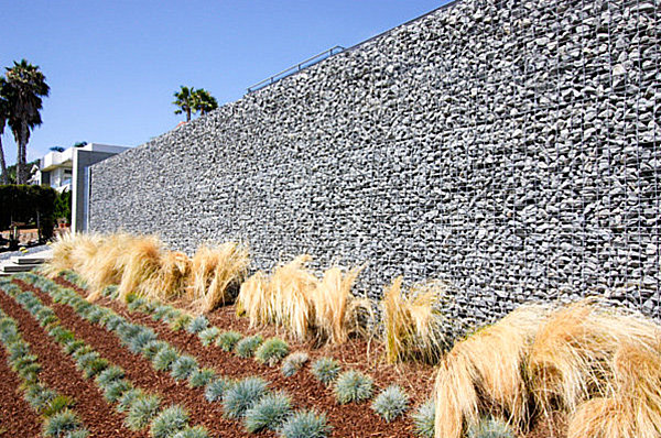 Plants arranged in rows