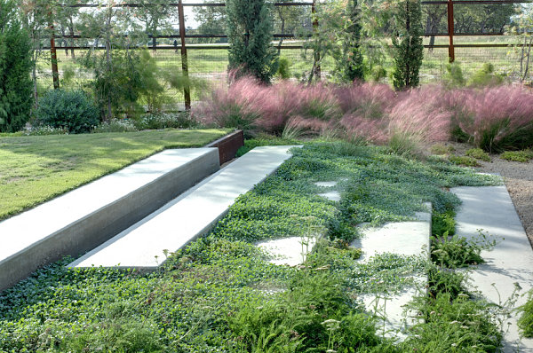 Plants cascading over modern steps