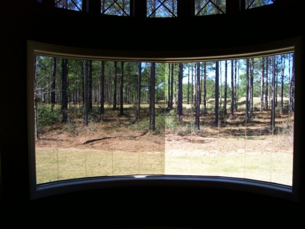 Comparison of backyard view on curved window [right side untreated