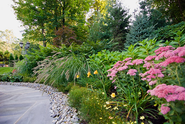 Vibrant plants line a flowerbed