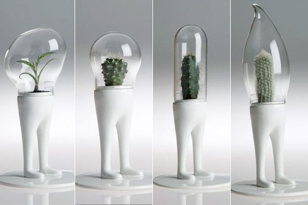 Alien looking Domsai Terrariums by Matteo Cibic!