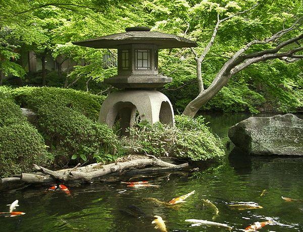 Bold stone lantern along with colorful carp and gold fish in the pond