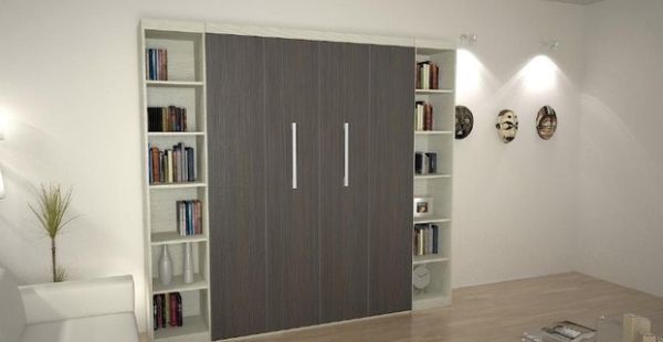 Contemporary bedroom with Murphy Bed flanked by bookshelves