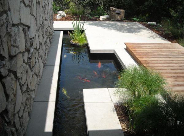 modern koi pond