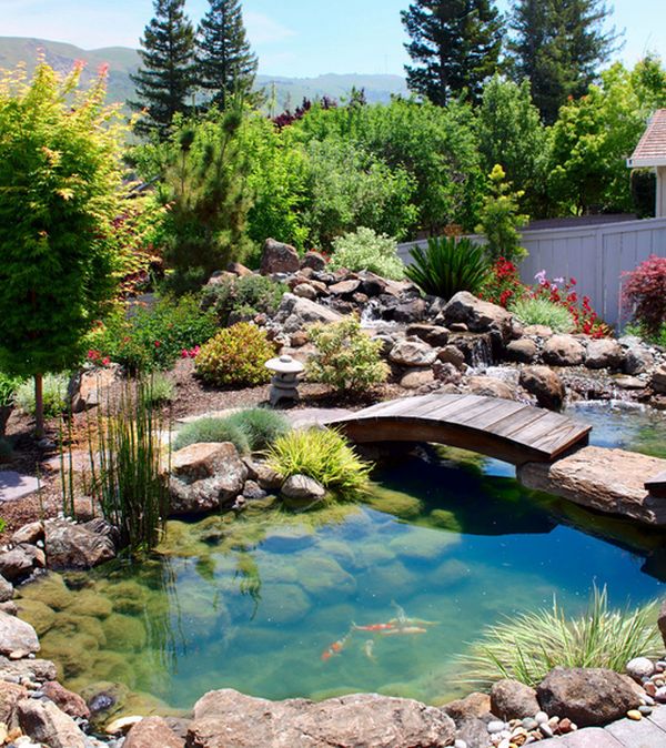 backyard koi pond with bridge