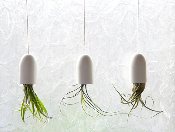 DIY Hanging air plant containers
