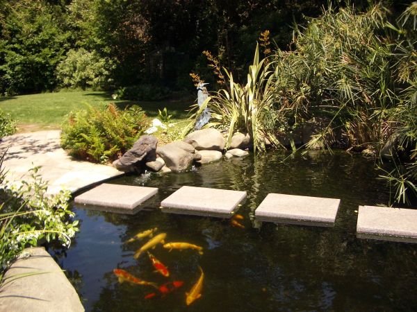 Enjoy relaxing solitude next to the koi pond