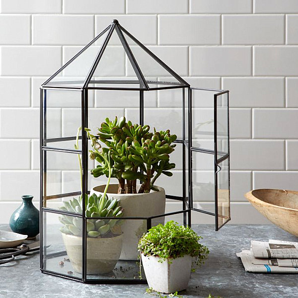 Geometric terrarium