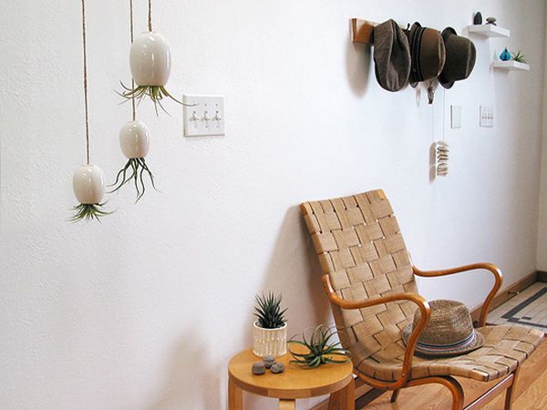 Hanging Air Plant Pod by Michael McDowell