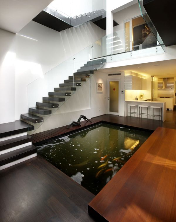 modern koi pond