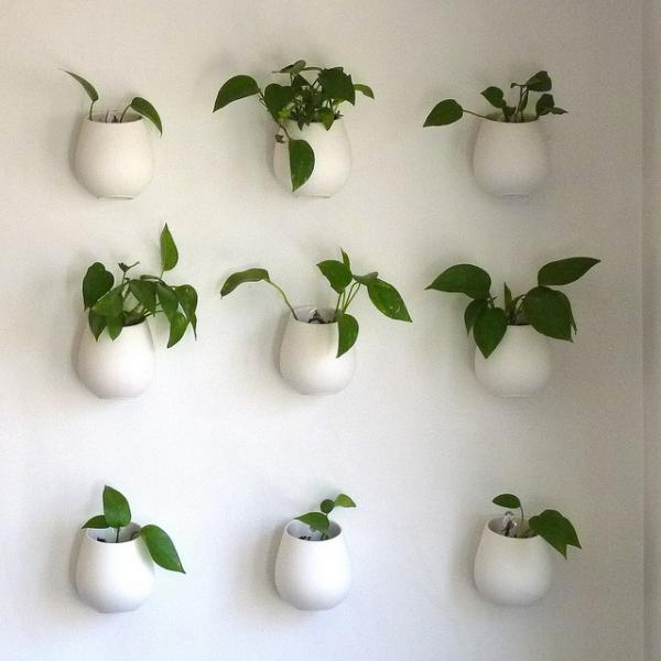 Indoor wall planters are easy to incorporate