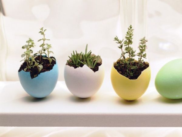 Innovative and cute DIY egg planters for the holiday season