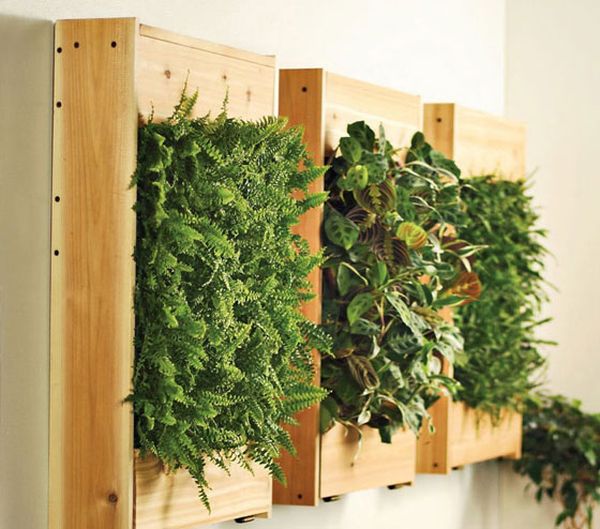 Living wall garden using wooden boards