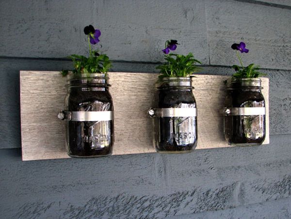 Mason jars are a popular choice as wall planters!