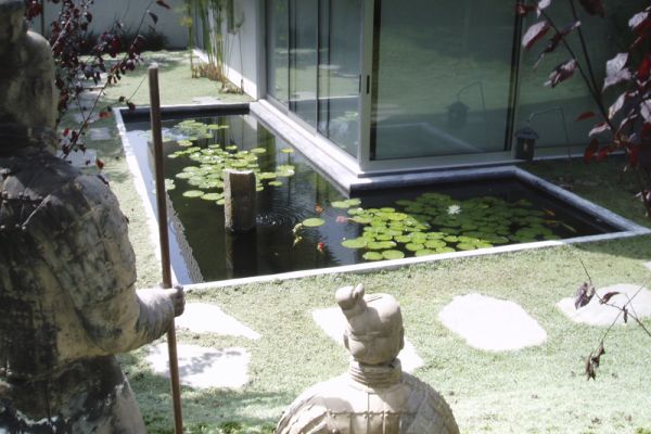 Stylish koi pond exudes Oriental charm with a modern twist